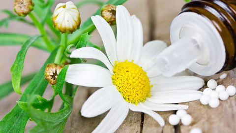Homöopathie für Kinder: Ein Kinderarzt klärt auf