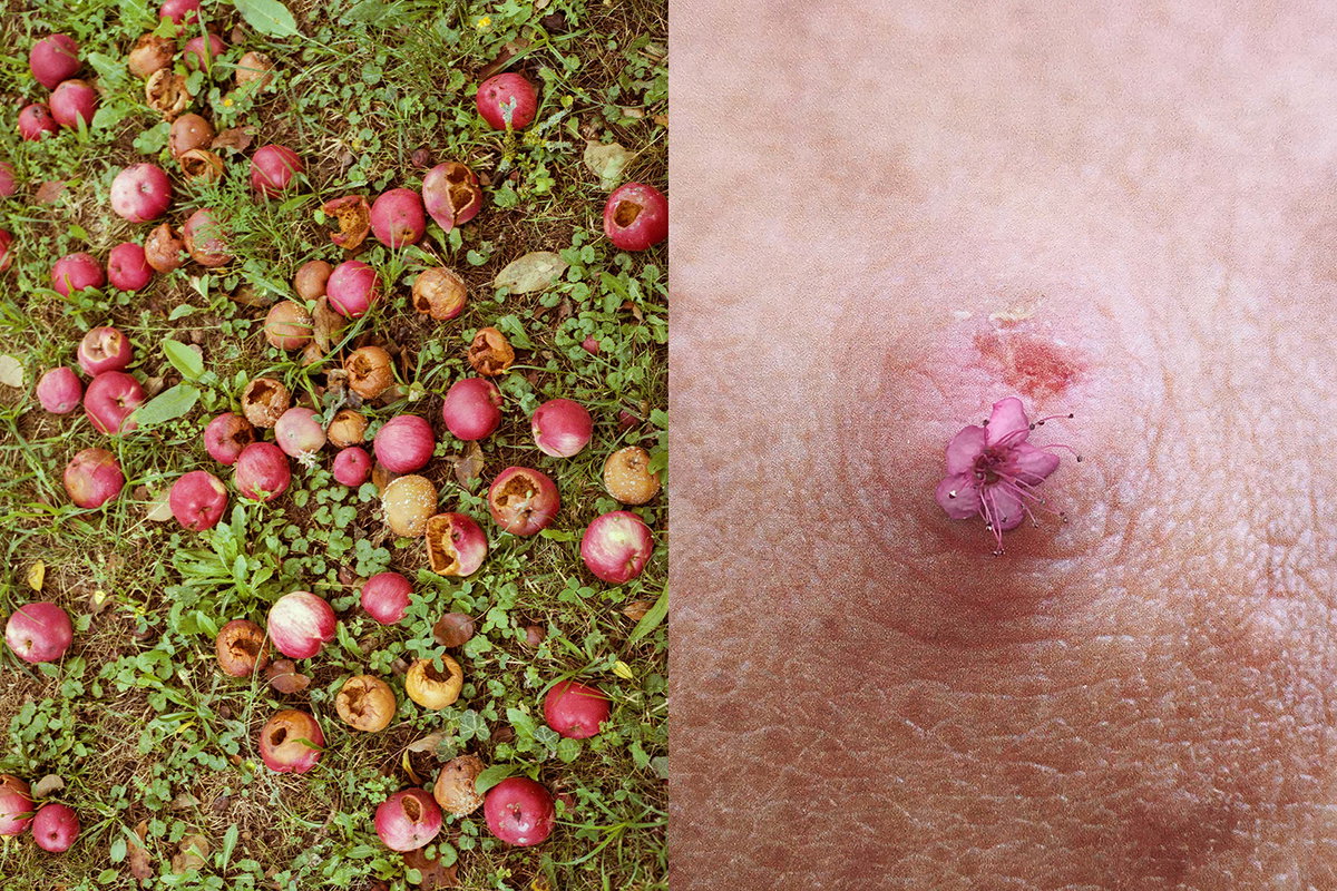 Fotoprojekt über Schwangerschaft und Mutterschaft