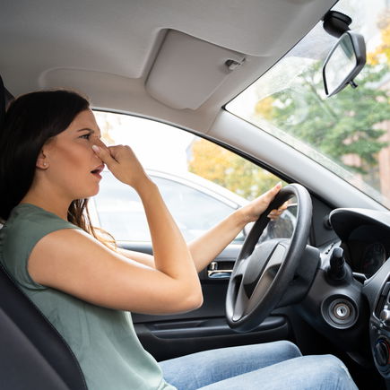 Üble Gerüche aus dem Auto entfernen – so geht's