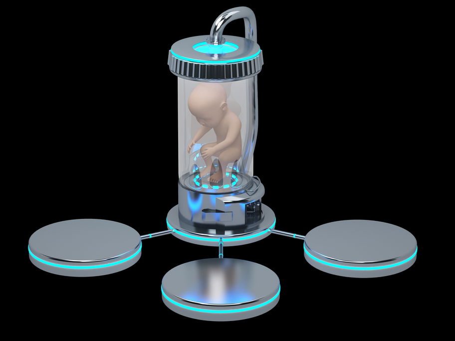 Embryo wächst in künstlicher Gebärmutter