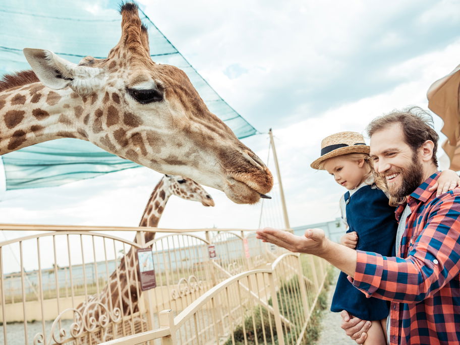 Giraffensprache: Die Langhälse liefern Eltern einen neuen Aspekt der gewaltfreien Kommunikation.