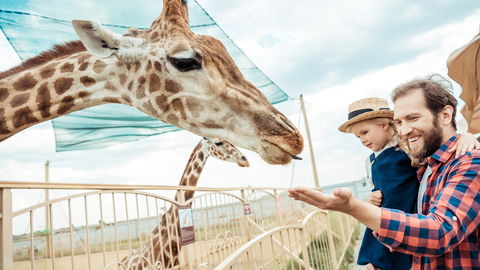 Giraffensprache: So lernen Kinder gewaltfreie Kommunikation besser
