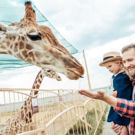 Giraffensprache: So lernen Kinder gewaltfreie Kommunikation besser