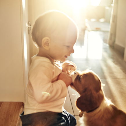Kinder und Hunde? Was Eltern beachten sollten