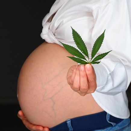 Hanf: Ist CBD-Öl in der Schwangerschaft erlaubt?