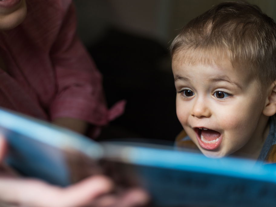 Junge liest ein Kinderbuch