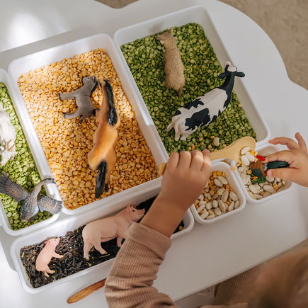 Warum jedes Kind "Sensory Play" ausprobieren sollte