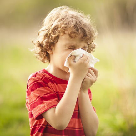 Was Kindern bei Heuschnupfen wirklich hilft