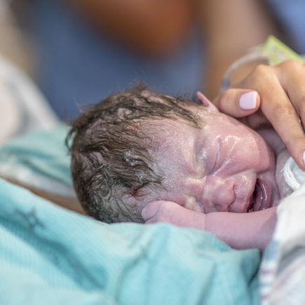 Das Leben beginnt: Was Babys in den ersten Stunden nach der Geburt erleben