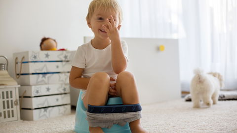 Töpfchen-Training: So klappt das Trockenwerden Schritt für Schritt