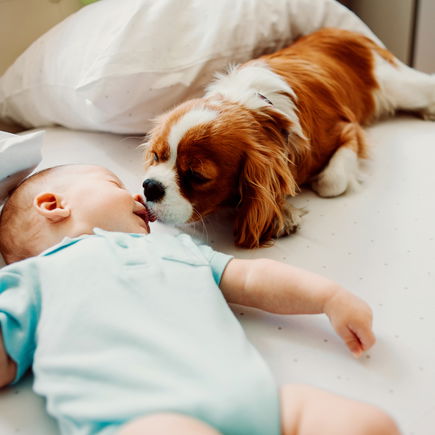"Unser Baby heißt wie ein Hund!" Diese 60 Vornamen sind von Vierbeinern inspiriert