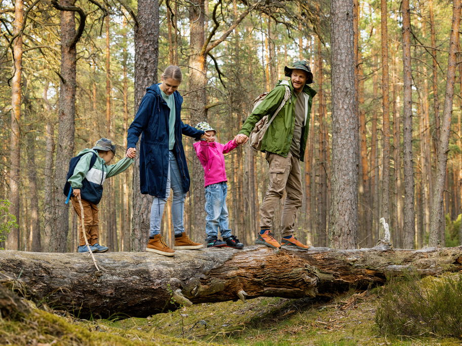 Familie läuft auf Baumstamm im Wald.
