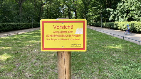 Gefahr durch giftige Raupen: Worauf Eltern jetzt beim Spielen im Freien achten müssen