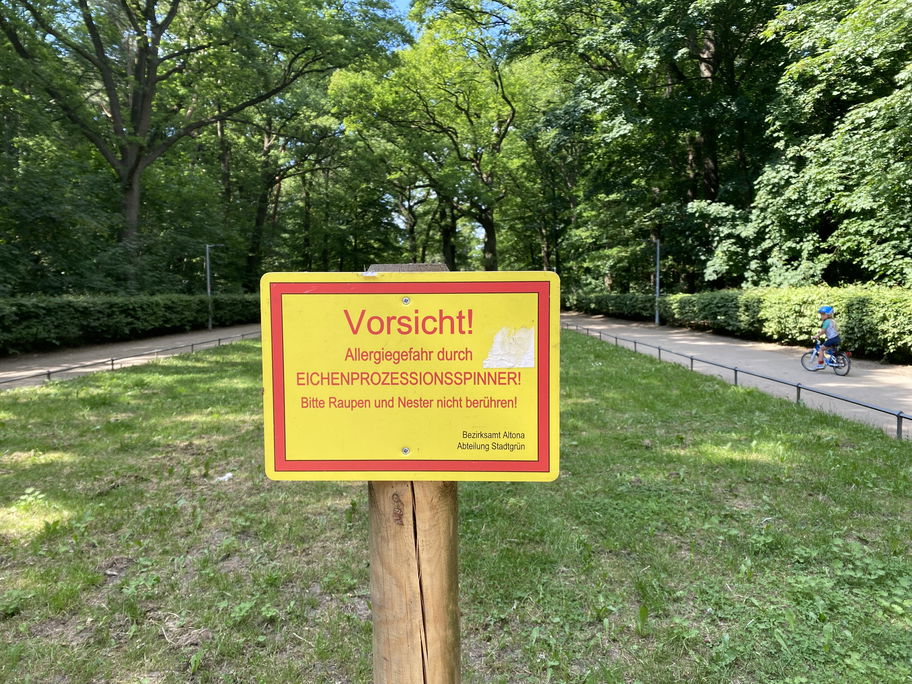 Warnhinweisschild Eichenprozessionsspinner
