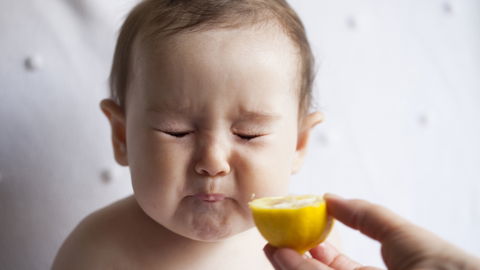 Ab wann dürfen Babys Zitrusfrüchte essen?