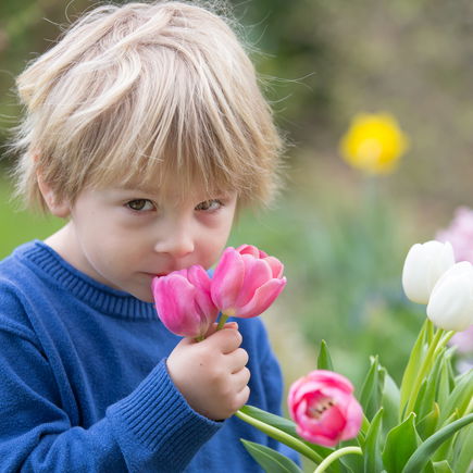 Liebe Eltern, leider nerven eure Kinder manchmal ganz schön ...