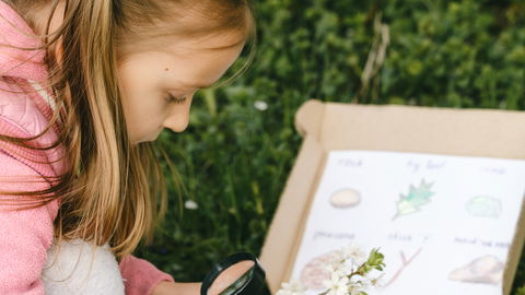 Naturbingo für Kinder: Tolle Spielidee für den Sommer