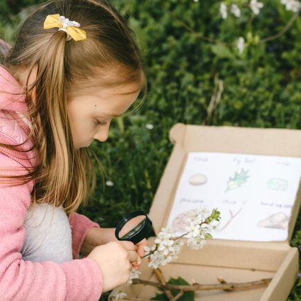 Naturbingo für Kinder: Tolle Spielidee für den Sommer