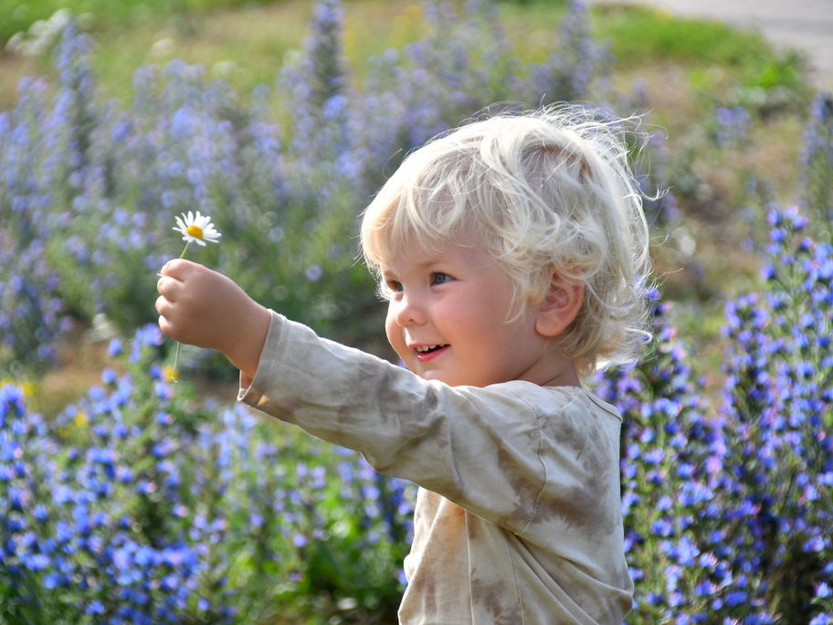 Ein kleiner Junge zeigt stolz sein gepflücktes Gänseblümchen.