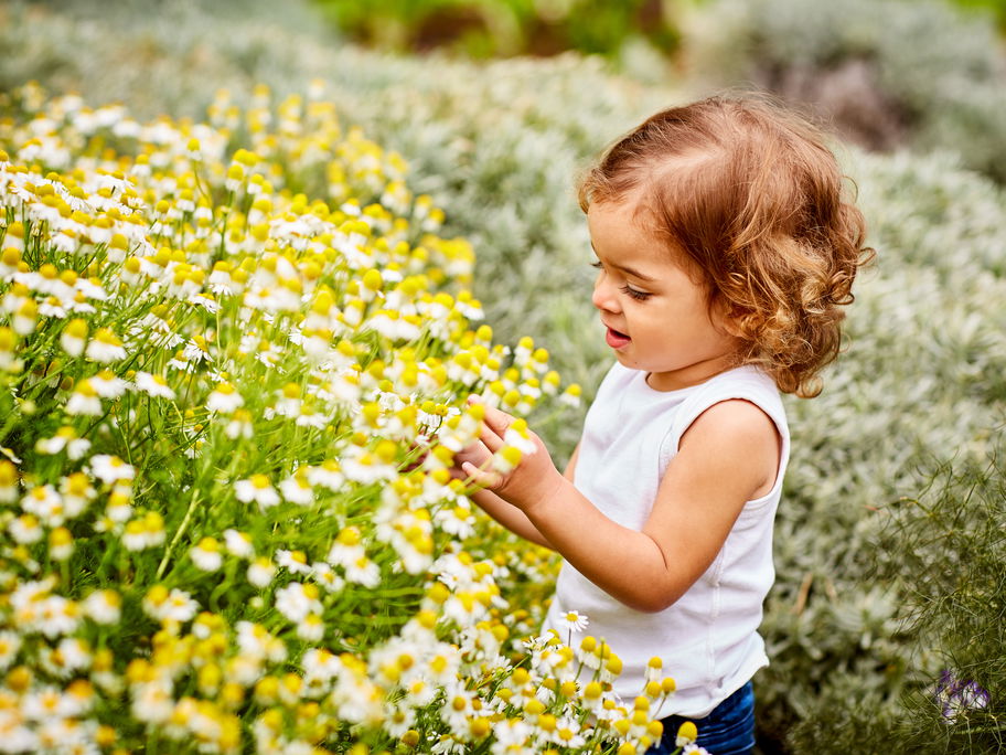 Ein kleines Mädchen steht auf einer Blumenwiese und greift nach einer Blüte.