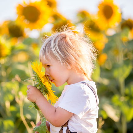 Ungiftige Pflanzen entdecken: So lernen Kinder sicher die heimische Natur kennen