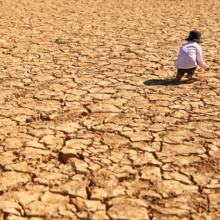 "Fridays for future" für die Kleinen: Wie erklärt man Kindern den Klimawandel? 