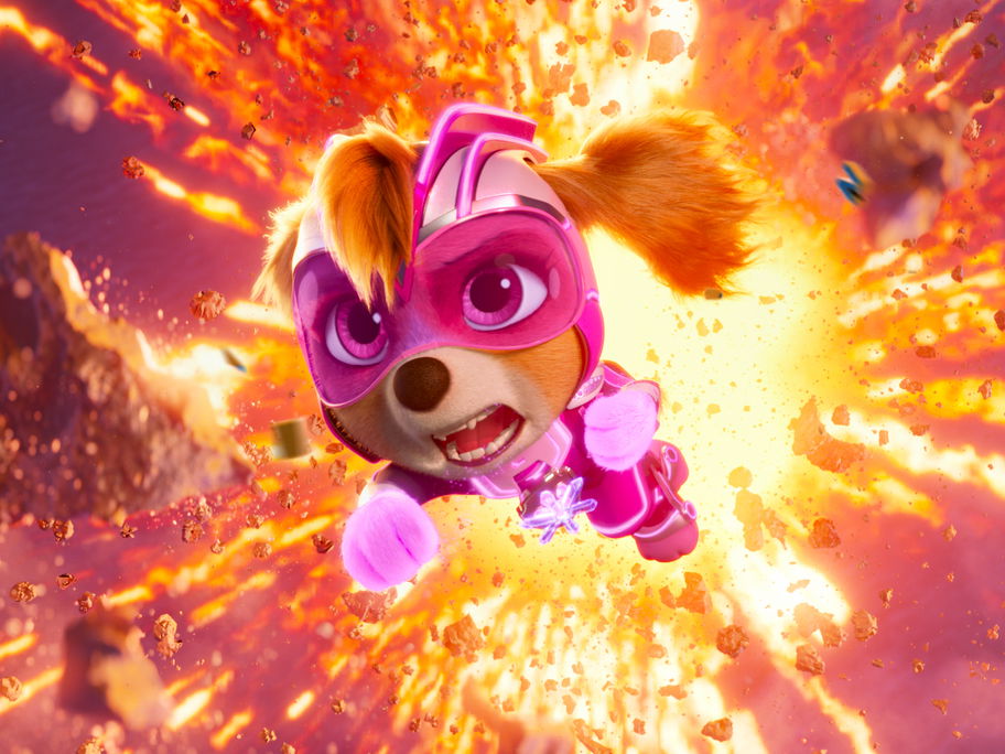 Skye von Paw Patrol