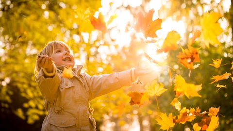 Spiele mit Blättern und Laub für den Herbst