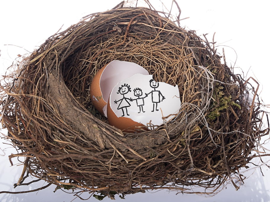 Gebrochenes Ei im Nest