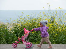 Puppenwagen ab 1 Jahr: Ein Spielzeug, das die Entwicklung fördert