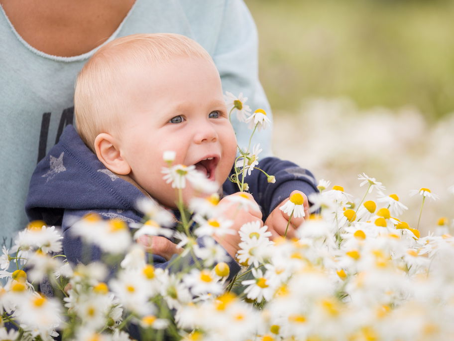 Mama und Baby mit ganz vielen Kamillenblüten.