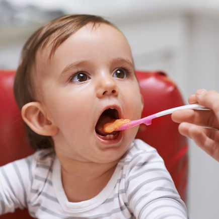 Babygläschen: Sind die nun gut genug oder nicht?