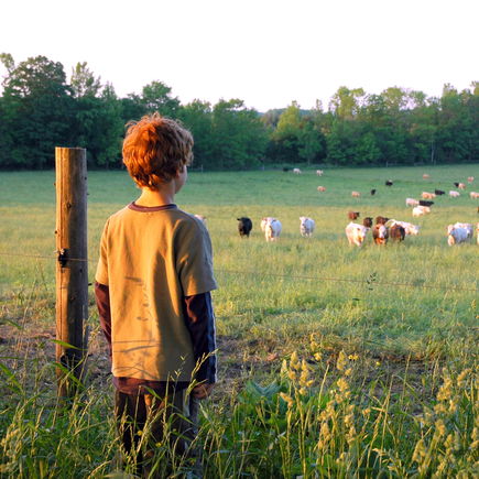 Mit Kindern aufs Land ziehen – ist das besser?