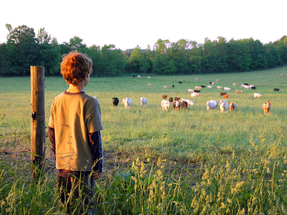 Wachsen Kinder auf dem Land wirklich glücklicher auf?