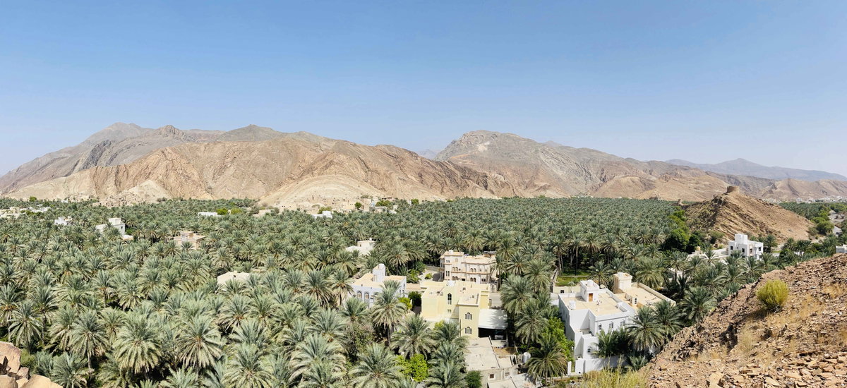 Palmen-Pracht in „Birkat Al Mouz“