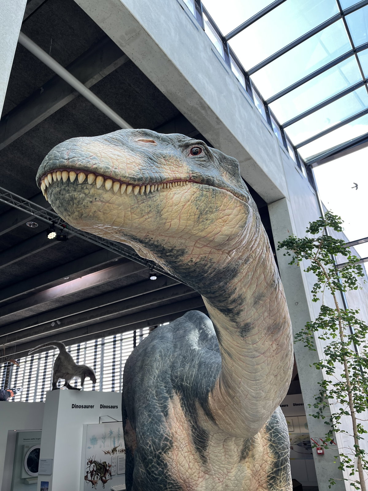Ein lebensgroße Dino-Statue