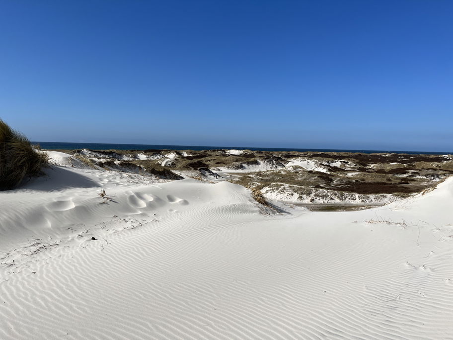Dünen-Landschaft auf Bornholm