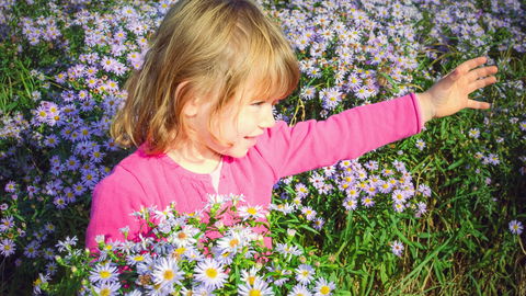 Geburtsblumen im September: Diese 3 Blüten solltet ihr euch merken!