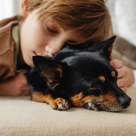 Familientherapeutin über die eine wichtige Sache, die Eltern von Hunden lernen können ...