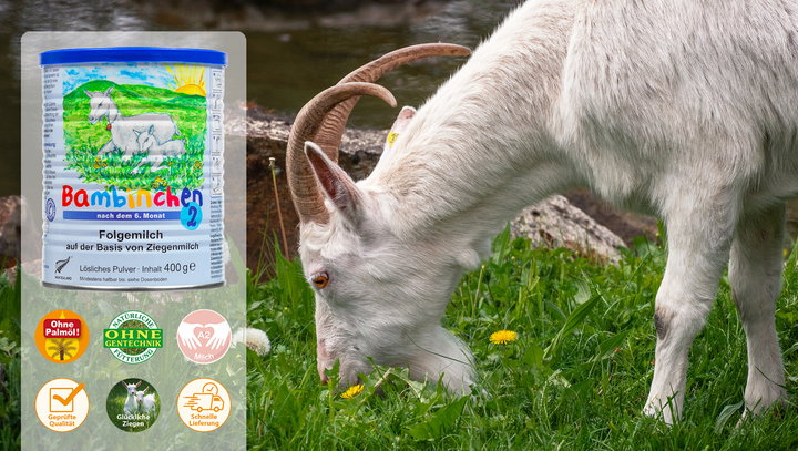Die Bambinchen Ziegenmilch ist eine Alternative zur Kuhmilch, die bei unseren Testerinnen sehr gut ankommt.