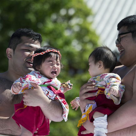 Sumo-Ringer lassen Babys um die Wette schreien: "Je lauter, desto gesünder!"