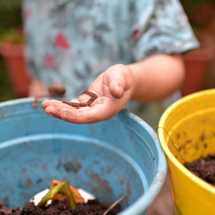 Wurmkiste mit Kindern selber bauen: So geht's
