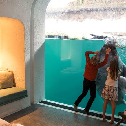 In diesem coolen Hotel können eure Kids direkt neben Walrossen, Tigern und Bären schlafen