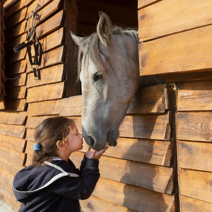 Die beliebtesten Pferdebücher für Kinder 🐴