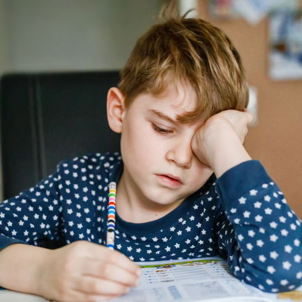Sollten Kinder auch in den Ferien für die Schule lernen? 