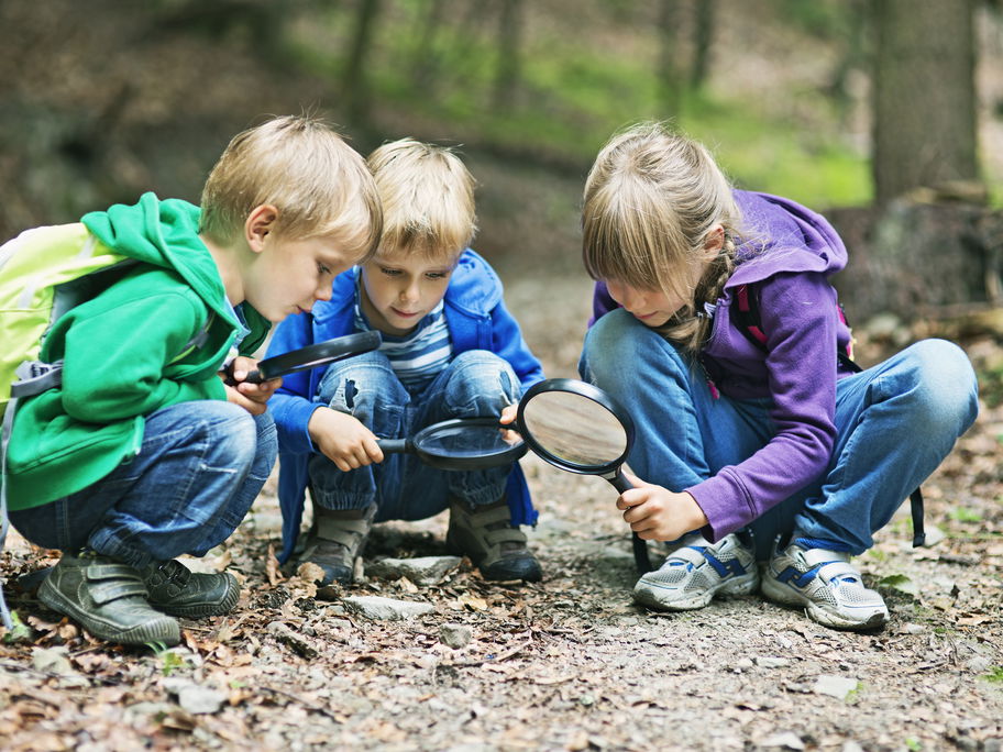 Drei Kinder beobachten die Natur mit Lupen.