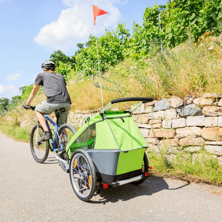 Tschüss Fahrradanhänger: Warum im Test alle Modelle versagen ...