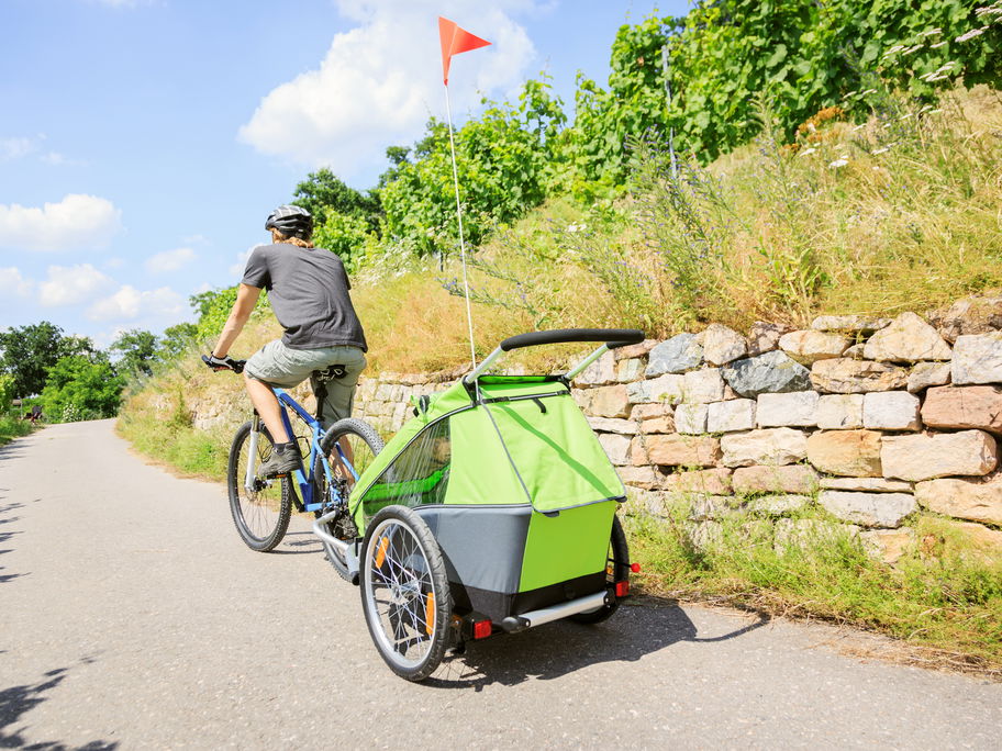 Alle Fahrradanhänger im Test rasseln durch.