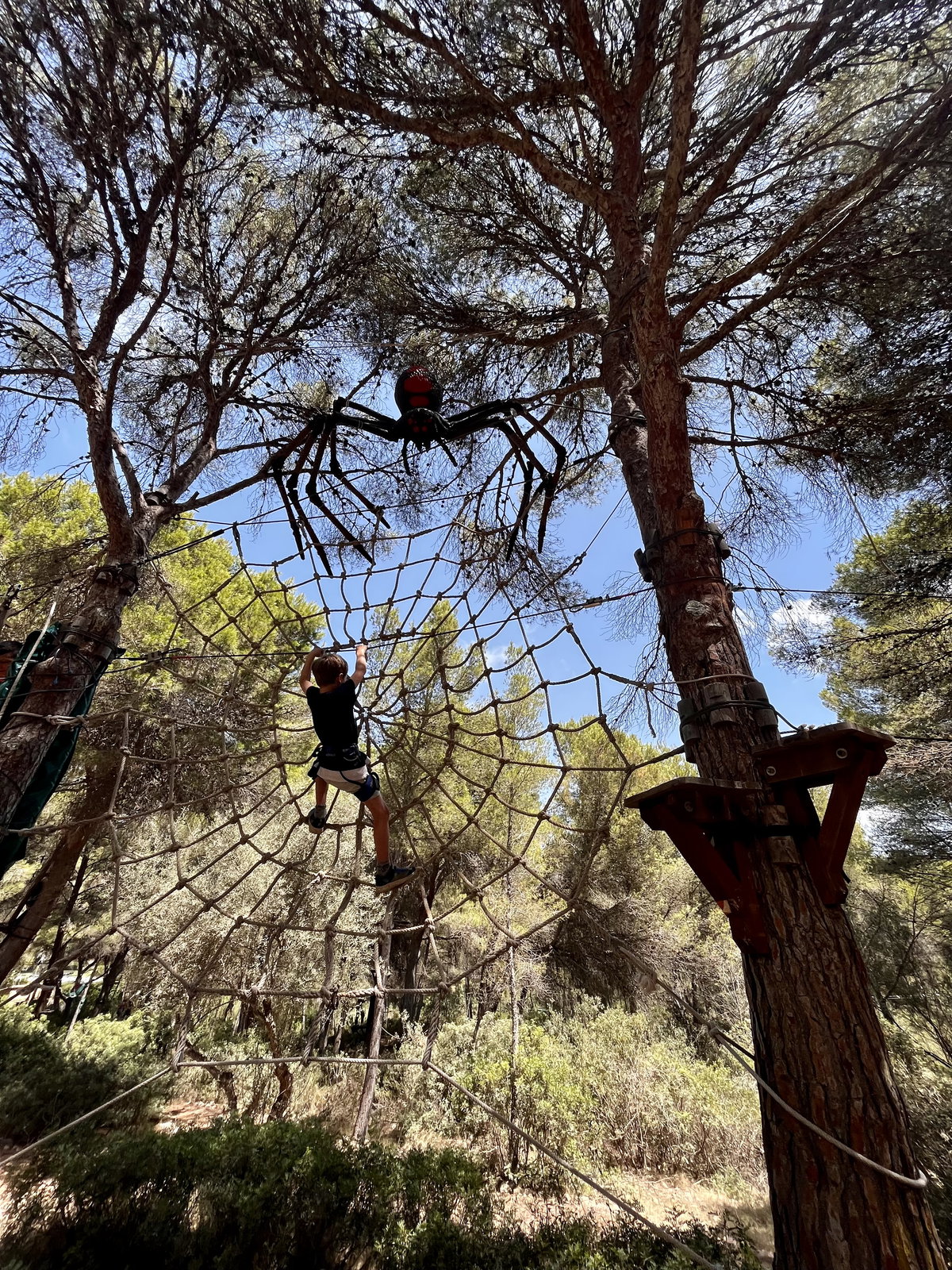 Jungle Parc Mallorca