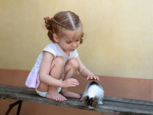 Kinderarzt warnt: Warum man im Urlaub KEINE Katzen streicheln sollte ...